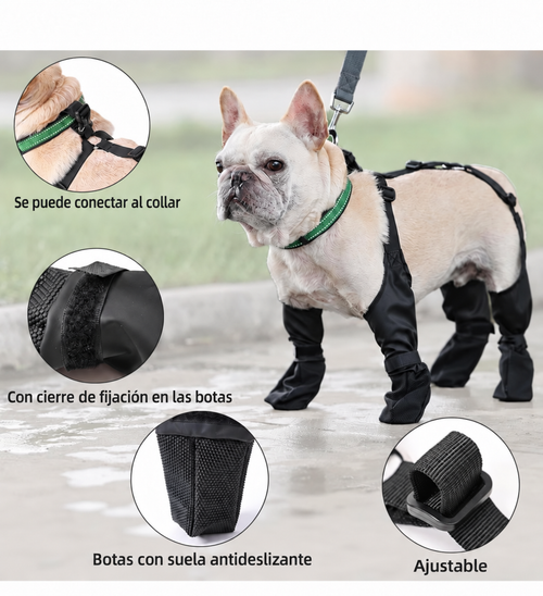 Botas Arnés Antibarro para Perros