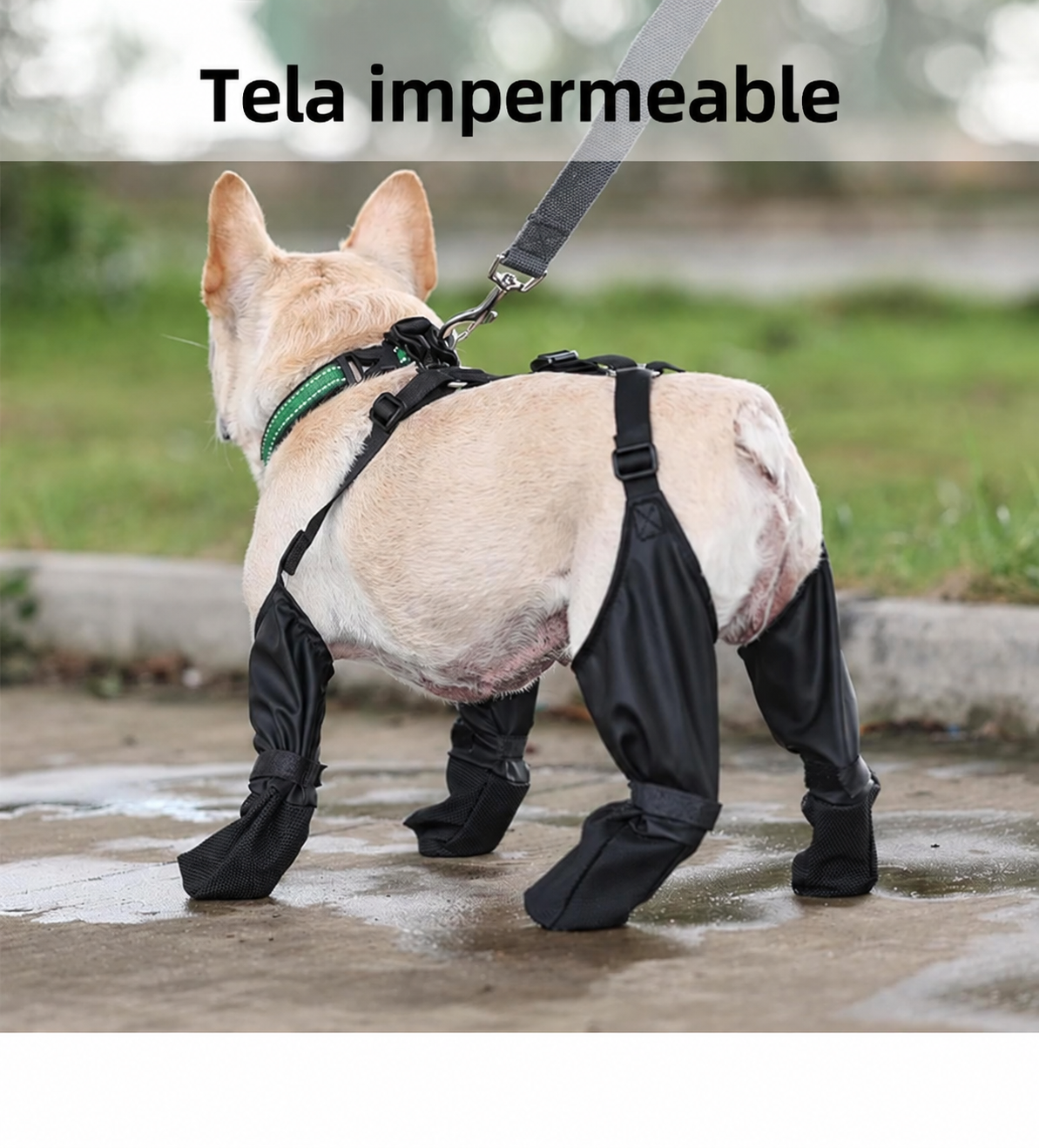 Botas Arnés Antibarro para Perros